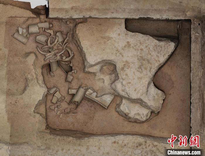 鎬京遺址發(fā)現(xiàn)西周時期道路等遺跡