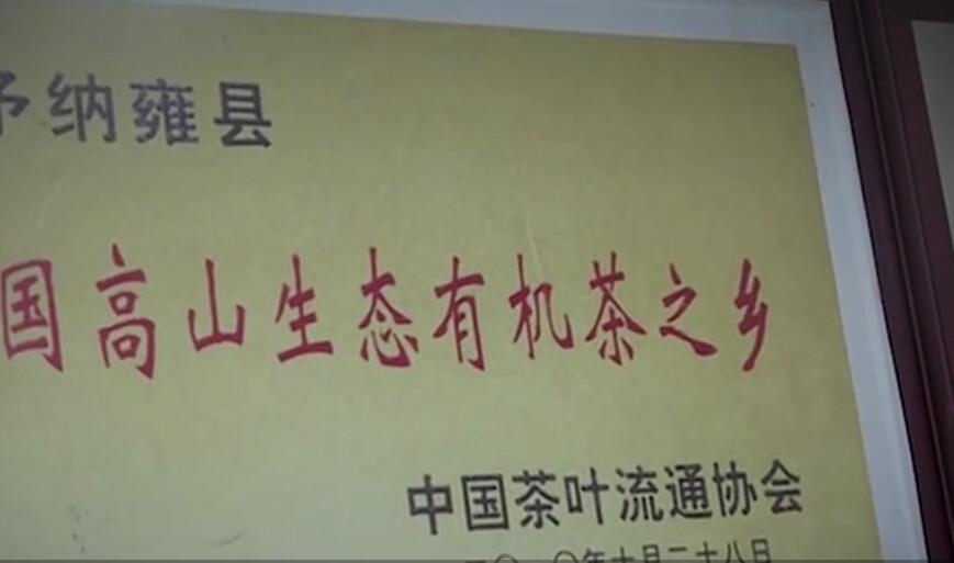 高山云霧出好茶----央視主持助力納雍高山茶