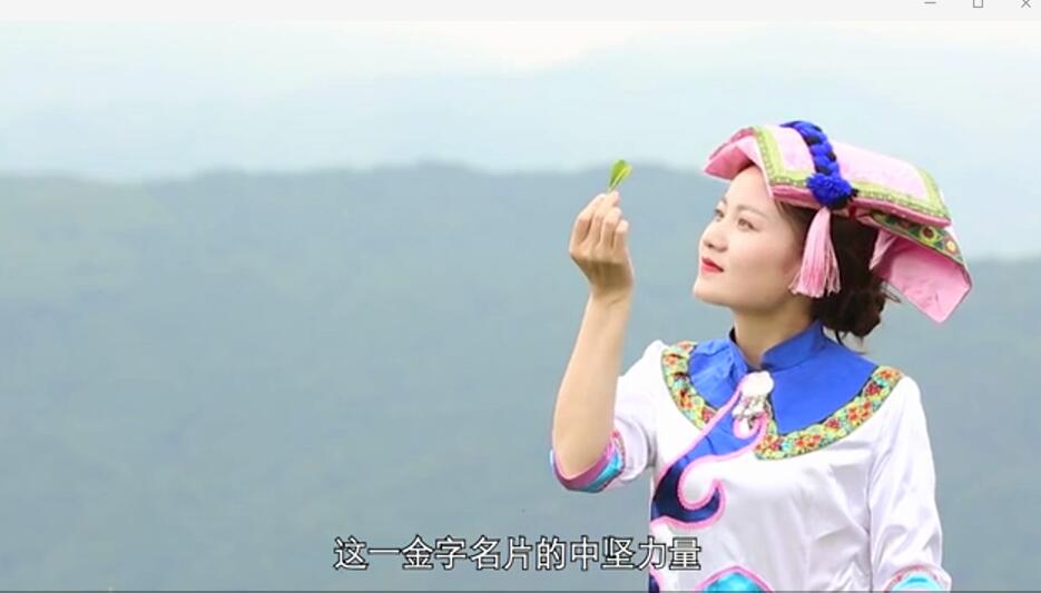 高山云霧出好茶----央視主持助力納雍高山茶