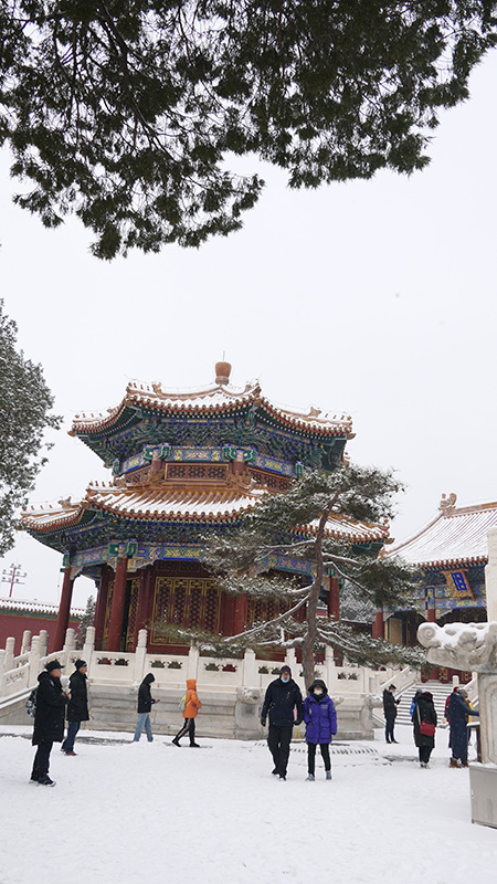 雪中景山公園、故宮