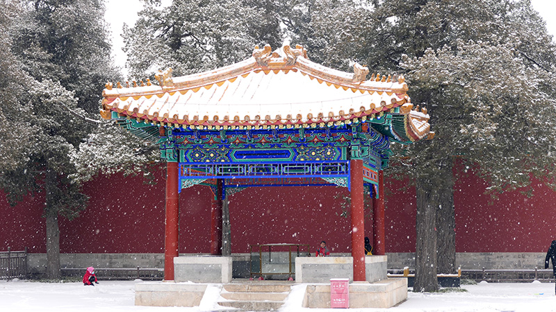 雪中景山公園、故宮——李月攝影