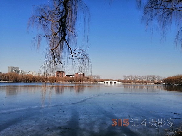 李月手機(jī)拍圖——玉淵潭公園冰開春來(lái)