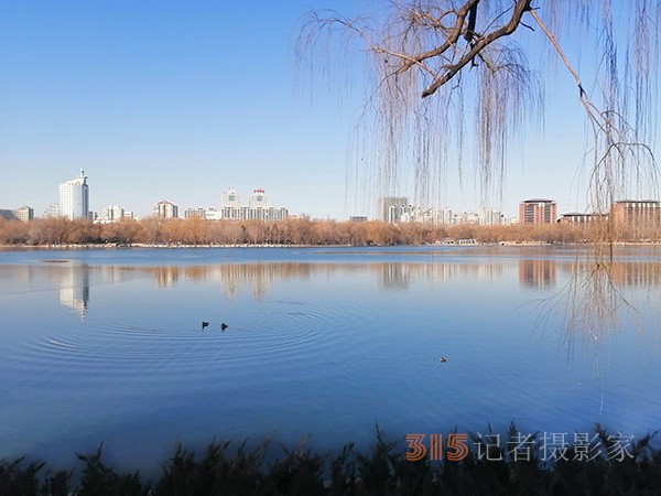 李月手機(jī)拍圖——玉淵潭公園冰開春來(lái)