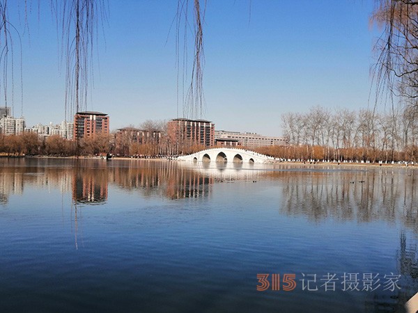 李月手機(jī)拍圖——玉淵潭公園冰開春來(lái)