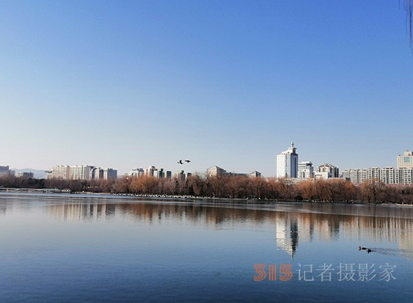 李月手機(jī)拍圖——玉淵潭公園冰開春來(lái)