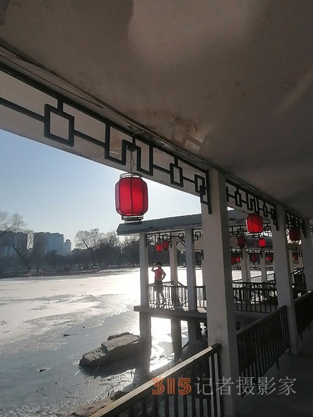 李月手機(jī)拍圖——玉淵潭公園冰開春來(lái)