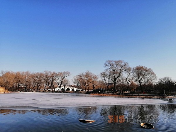 李月手機(jī)拍圖——玉淵潭公園冰開春來(lái)