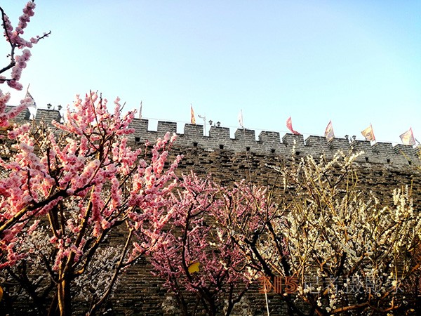 處處皆春色 園園綻百花