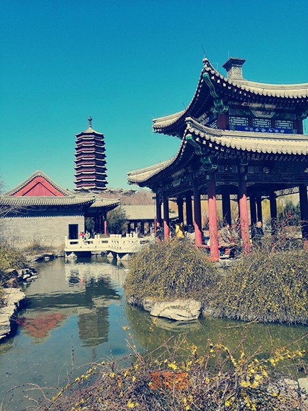 處處皆春色 園園綻百花