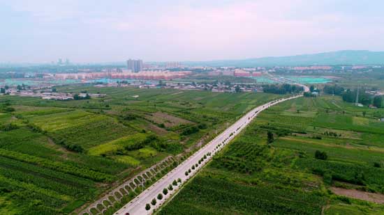 平頂山市石龍區(qū)：用磁場(chǎng)效應(yīng)，催生能力作風(fēng)建設(shè)“蝶變”