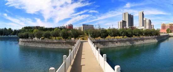 平頂山市石龍區(qū)：用磁場(chǎng)效應(yīng)，催生能力作風(fēng)建設(shè)“蝶變”