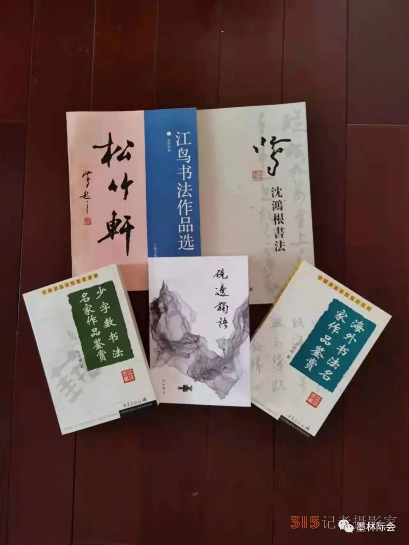 獨(dú)標(biāo)風(fēng)骨藝壇上，濯古來新成一家---沈鴻根先生訪談