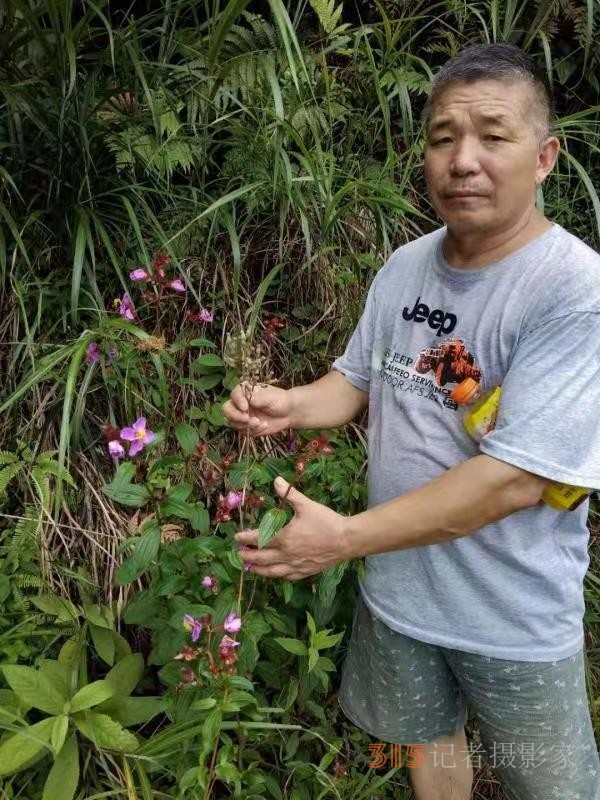 苗醫(yī)慢病快治專(zhuān)家范景良