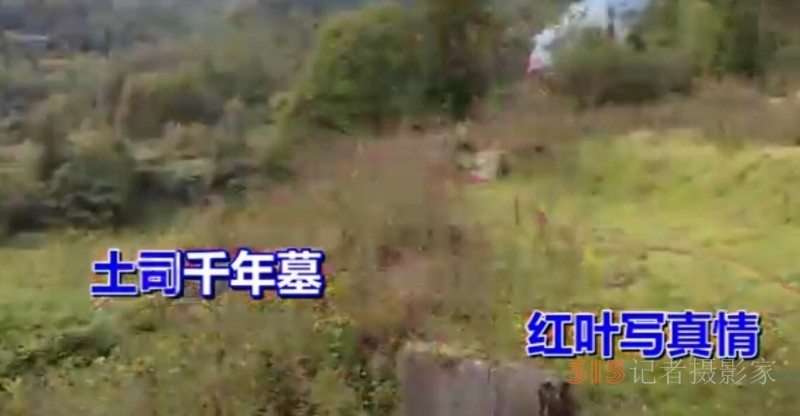 一曲后坪歌，唱響故土情
