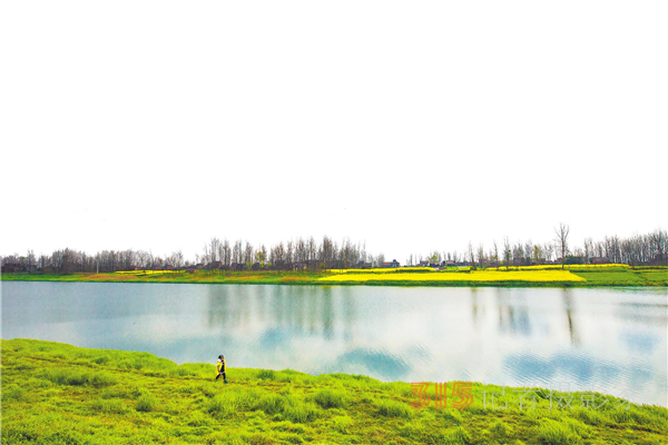魚游淺底 水鳥翔飛 蒹葭深處是沙湖_fororder_01