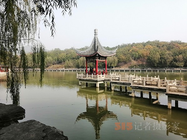 北宮森林公園——登高初見彩葉