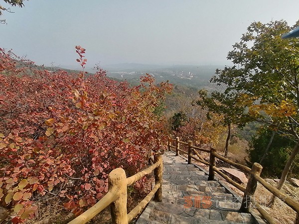 北宮森林公園——登高初見彩葉