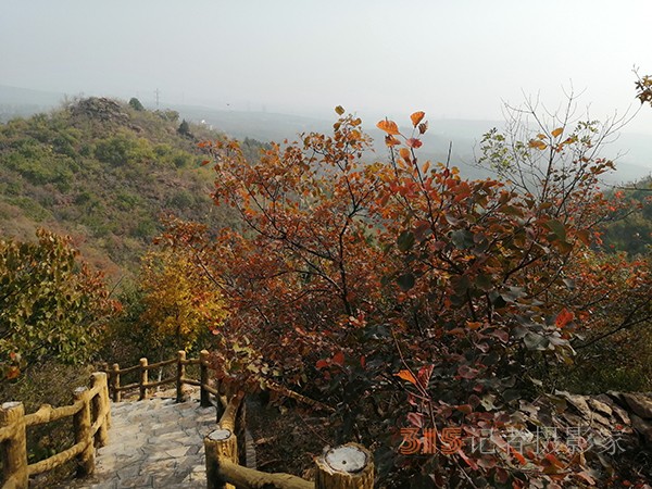 北宮森林公園——登高初見彩葉