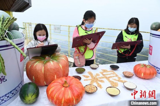 世界糧食日將至重慶小學(xué)生繪畫(huà)呼吁“節(jié)約糧食從我做起”