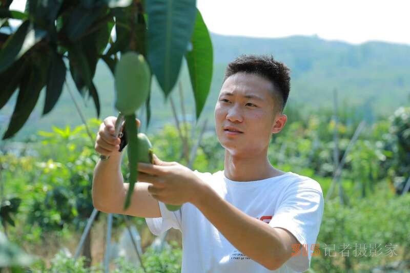 00后“芒果銷售達人”直播帶貨5萬斤