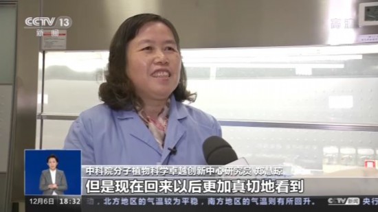 神十四乘組帶回植物種子 “太空植物”生長有何奧秘？