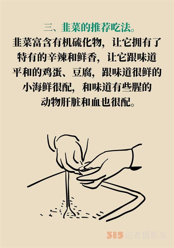 抗炎抗氧化，春天的韭菜這樣吃最好