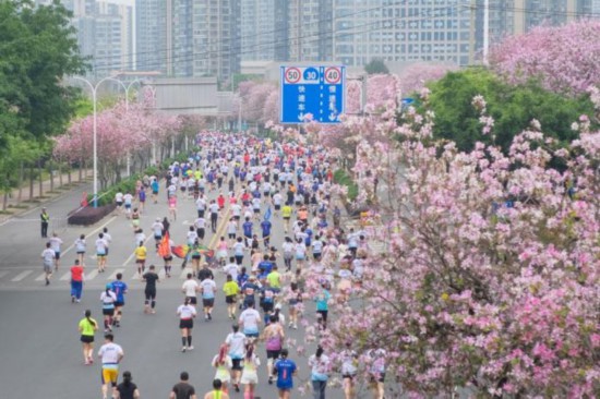 中國各地“賞花經(jīng)濟(jì)”玩出新“花”樣