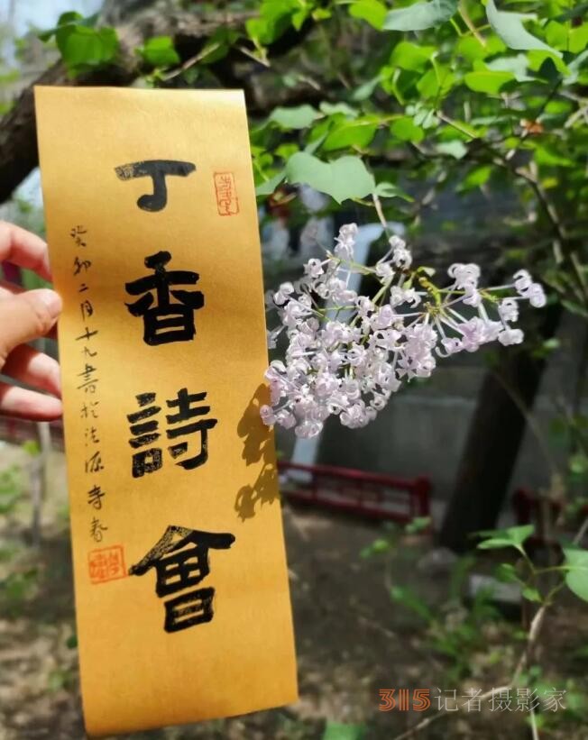 丁香詩會(huì)雅集·癸卯卷