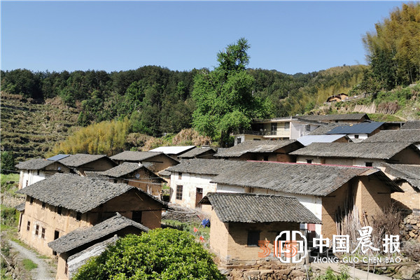 宋海明·散文《畫(huà)里天華白果寨》