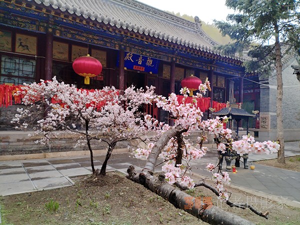 五臺山春色