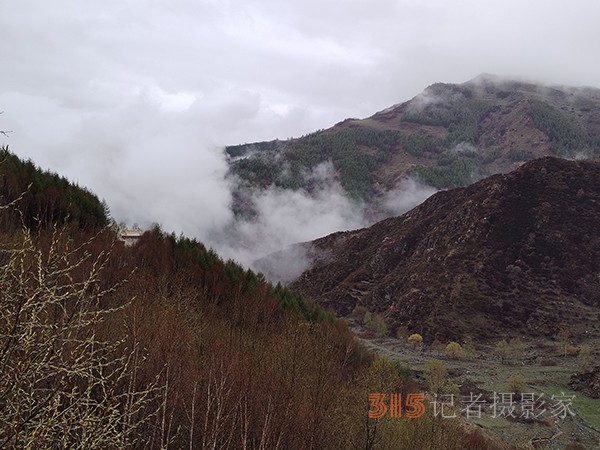 五臺山春色