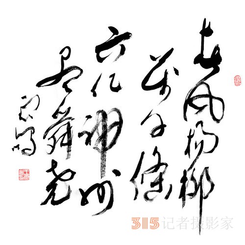 光耀華夏：王云鵬“鵬體草書”迎新春網(wǎng)絡(luò)作品展