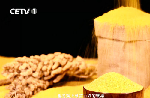 “熬盡鉛華倉廩實(shí) 粒粟晶瑩耀華夏”—專訪內(nèi)蒙古國粟營養(yǎng)食品科技有限公司
