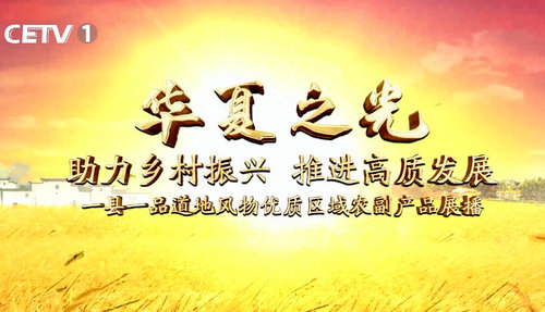 “熬盡鉛華倉廩實(shí) 粒粟晶瑩耀華夏”—專訪內(nèi)蒙古國粟營養(yǎng)食品科技有限公司