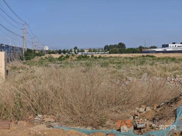 山東淄博經開區(qū)村集體三千多萬征地補償款悄然被“理財”