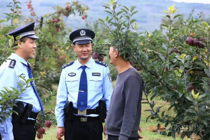 【護(hù)航秋收】禮縣公安：蘋(píng)果地里“話(huà)”安全