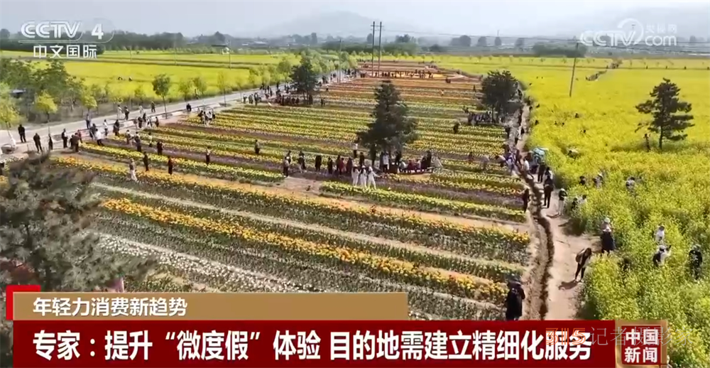 一起解鎖“微度假”多種打開方式 “City Eat”成為年輕力消費(fèi)新趨勢(shì)