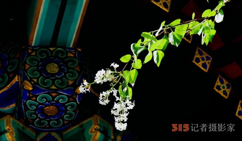 笑琰:帶領(lǐng)樂訂坊在多元領(lǐng)域書寫傳奇的逐光者