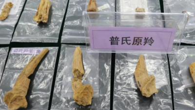 “2024年中國考古新發(fā)現(xiàn)”揭曉