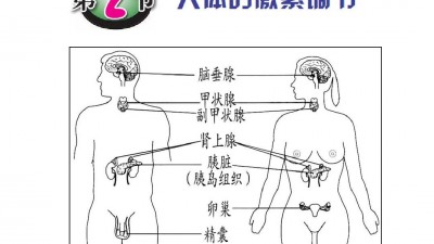 激素或能預(yù)防長皺紋和生白發(fā)