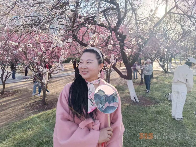 春分時(shí)節(jié)明城墻樂游賞梅