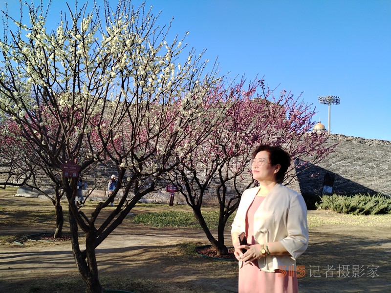 春分時(shí)節(jié)明城墻樂游賞梅