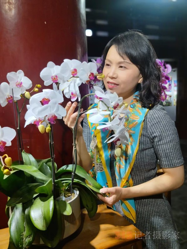 春分時(shí)節(jié)明城墻樂游賞梅