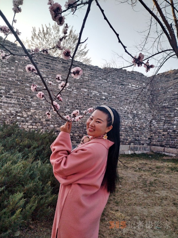 春分時(shí)節(jié)明城墻樂游賞梅