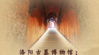 洛陽古墓博物館：“冷門”變“爆款”靠什么？