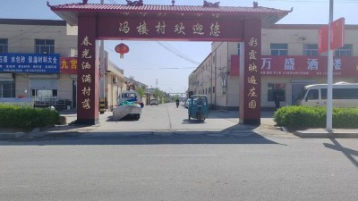 山東省陽信縣溫店鎮(zhèn)馮樓村，獲“中國零碳村鎮(zhèn)促進(jìn)項目”
