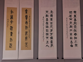 歲月如梭 墨韻春歌——袁春光書法作品匯報(bào)展在聊城拉開帷幕