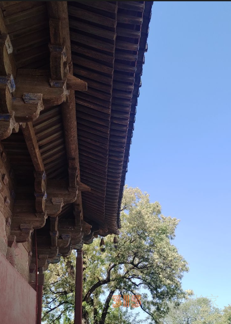 天津獨樂寺