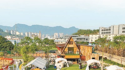 促增收，方寸庭院有乾坤