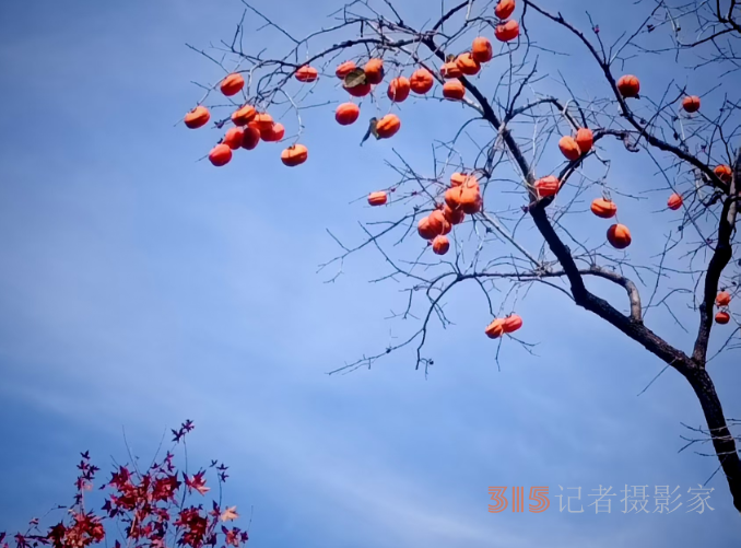 光影鑄魂，筆耕不輟 —— 王飛
